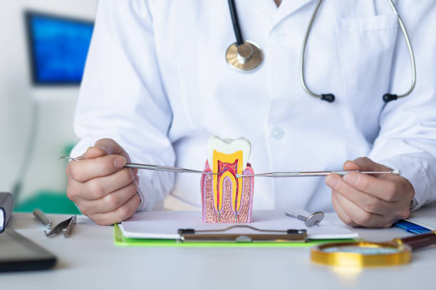 Best Emergency Treatment for Oral Infections in Friendship Heights Village, MD